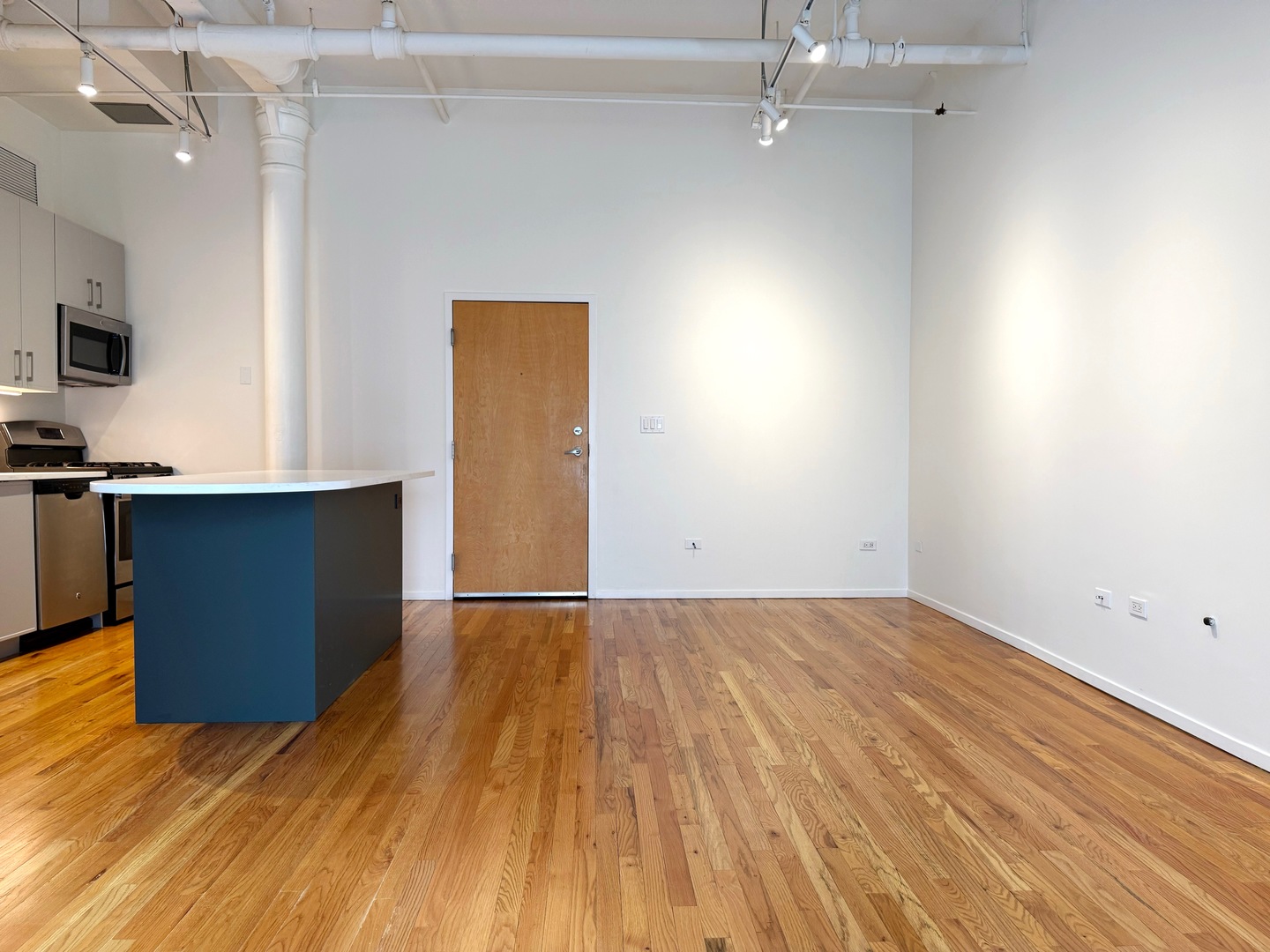 420 South Clinton Street, Unit 110A Chicago, IL 60607 - Photo 5 of 14