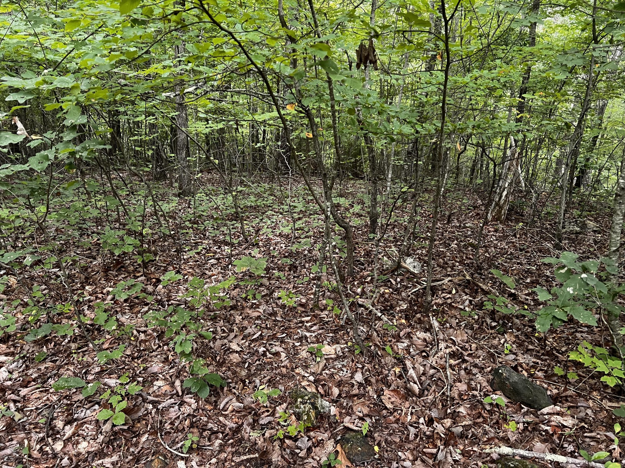 0 Restful Way Newport, TN 37821 - Photo 2 of 5