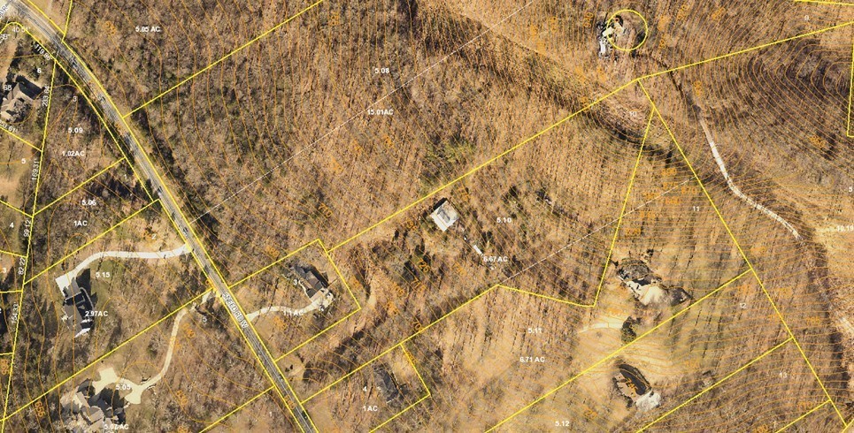 1462 Sneed Road West Franklin, TN 37069 - Photo 4 of 4 a picture of a tree