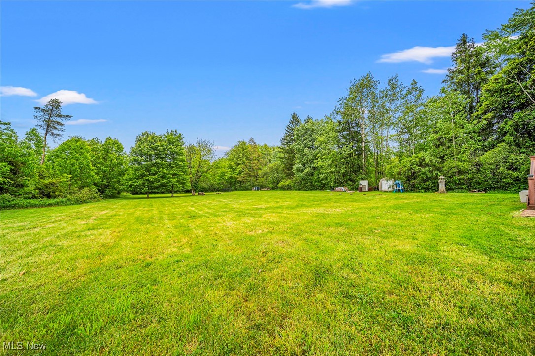 6835 Sidley Road Thompson, OH 44086 - Photo 39 of 39 View of green lawn