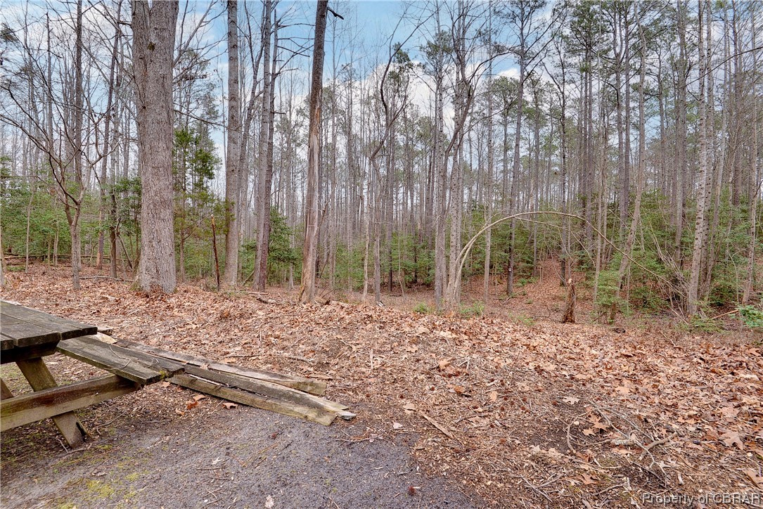 5301 North Courthouse Road Providence Forge, VA 23140 - Photo 23 of 26 a view of backyard with green space