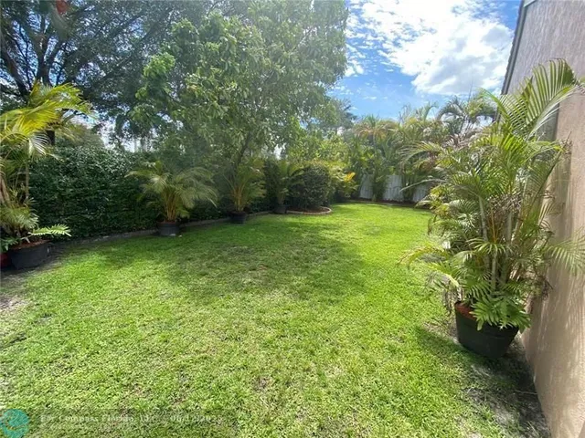 a view of a yard with a trees