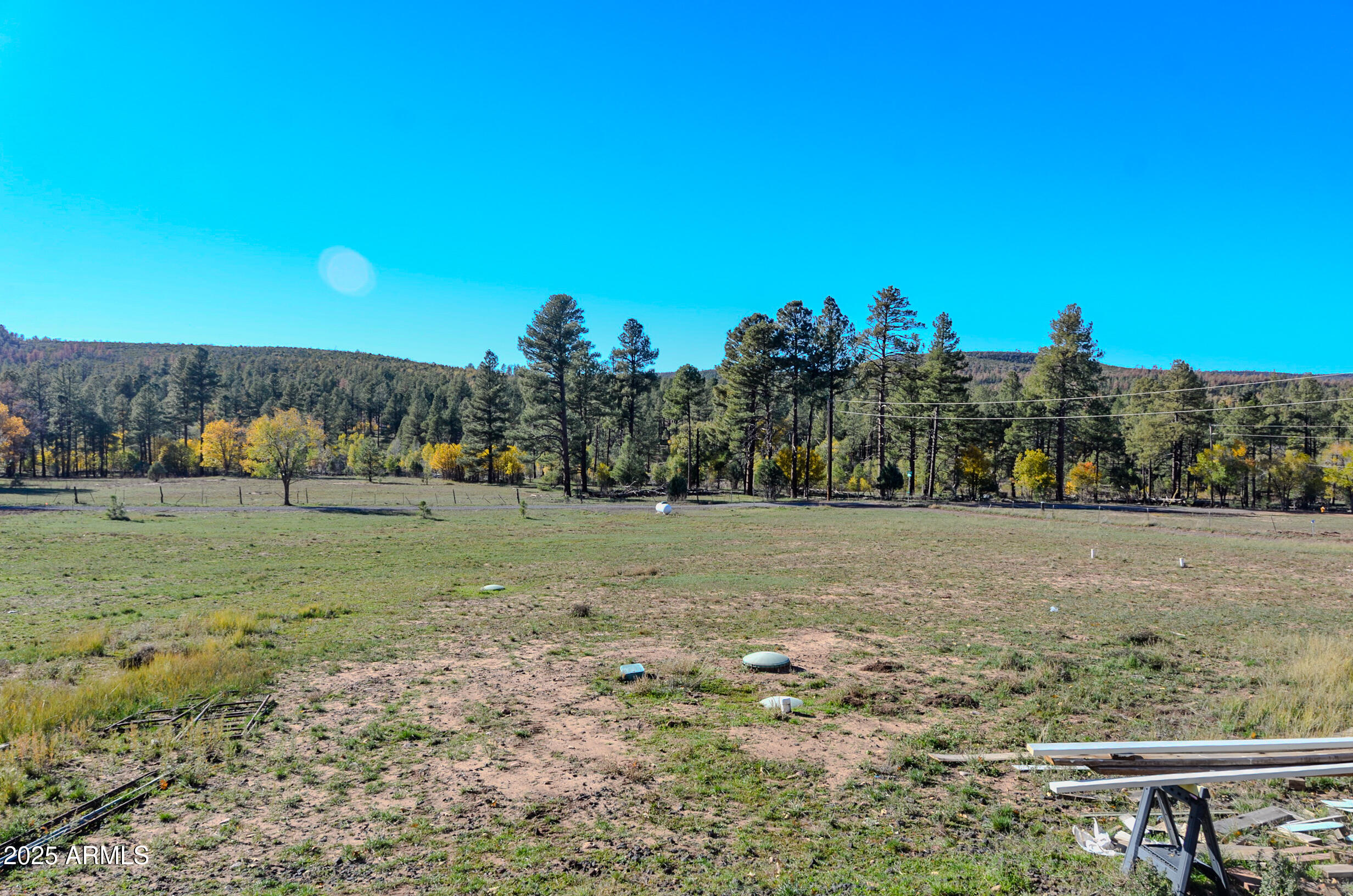 685 Kuhn Road Pinedale, AZ 85934 - Photo 6 of 74