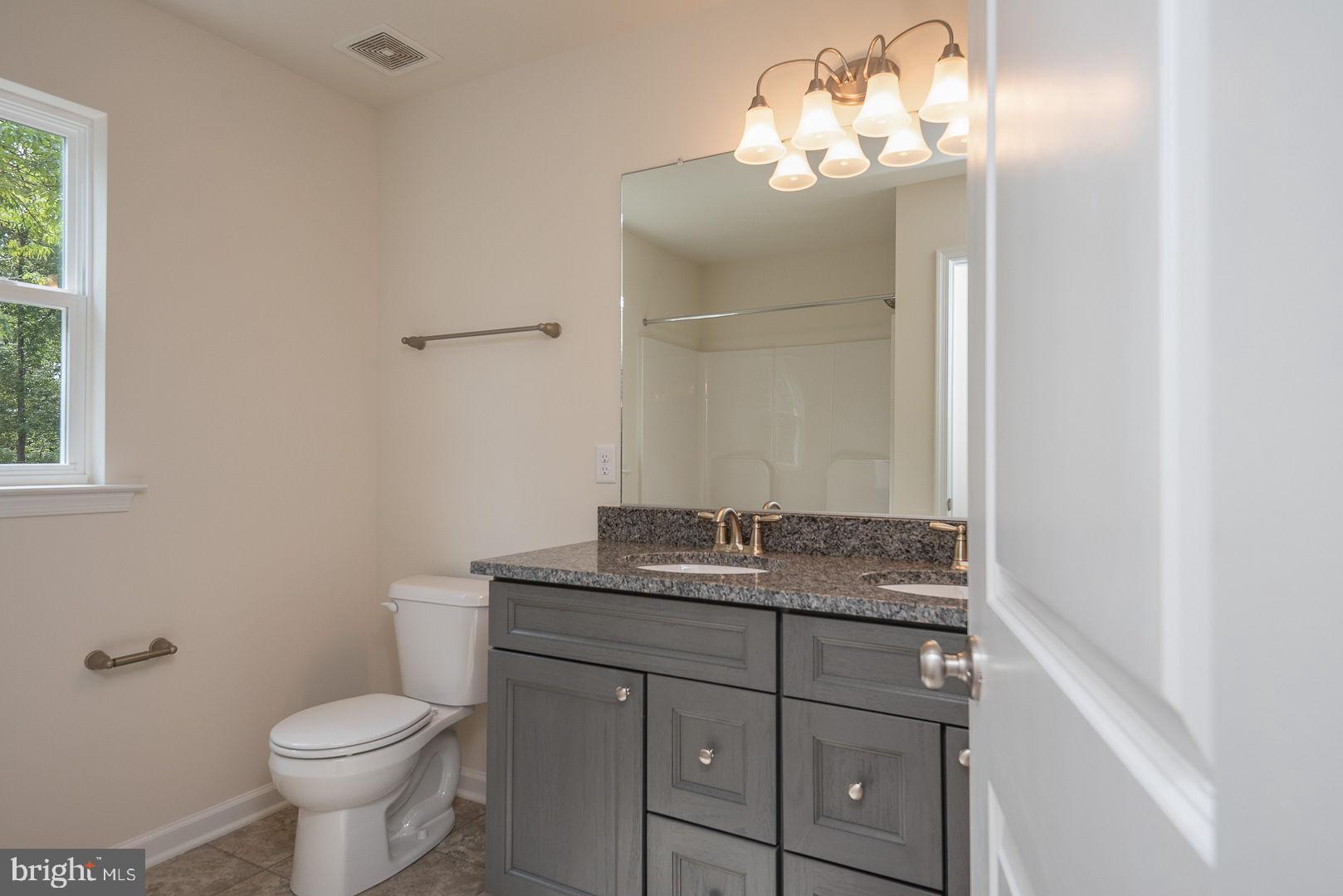102 Monroe Street Locust Grove, VA 22508 - Photo 15 of 47 Hall bath offers double vanity