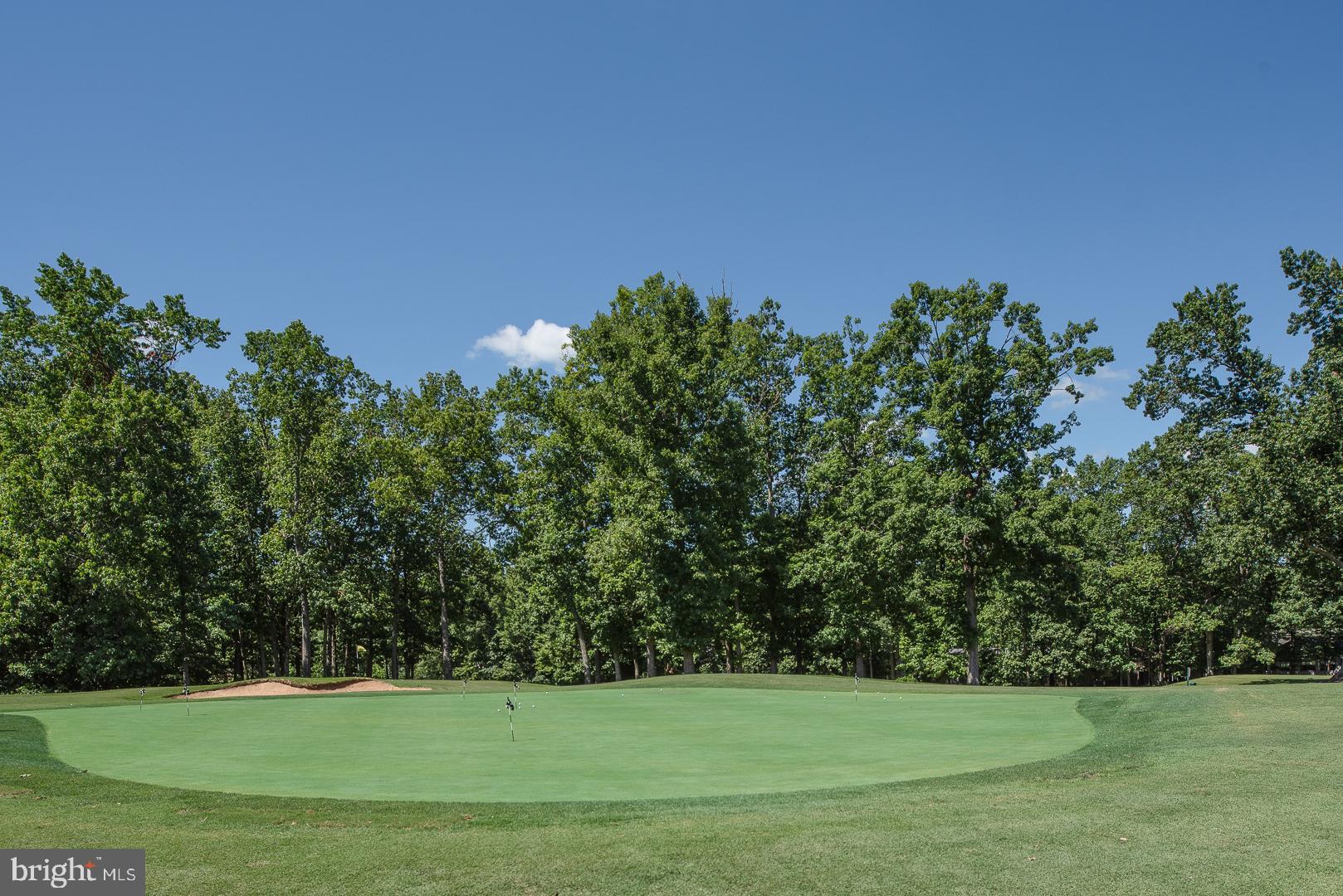 102 Monroe Street Locust Grove, VA 22508 - Photo 37 of 47 Beautiful golf course views throughout community