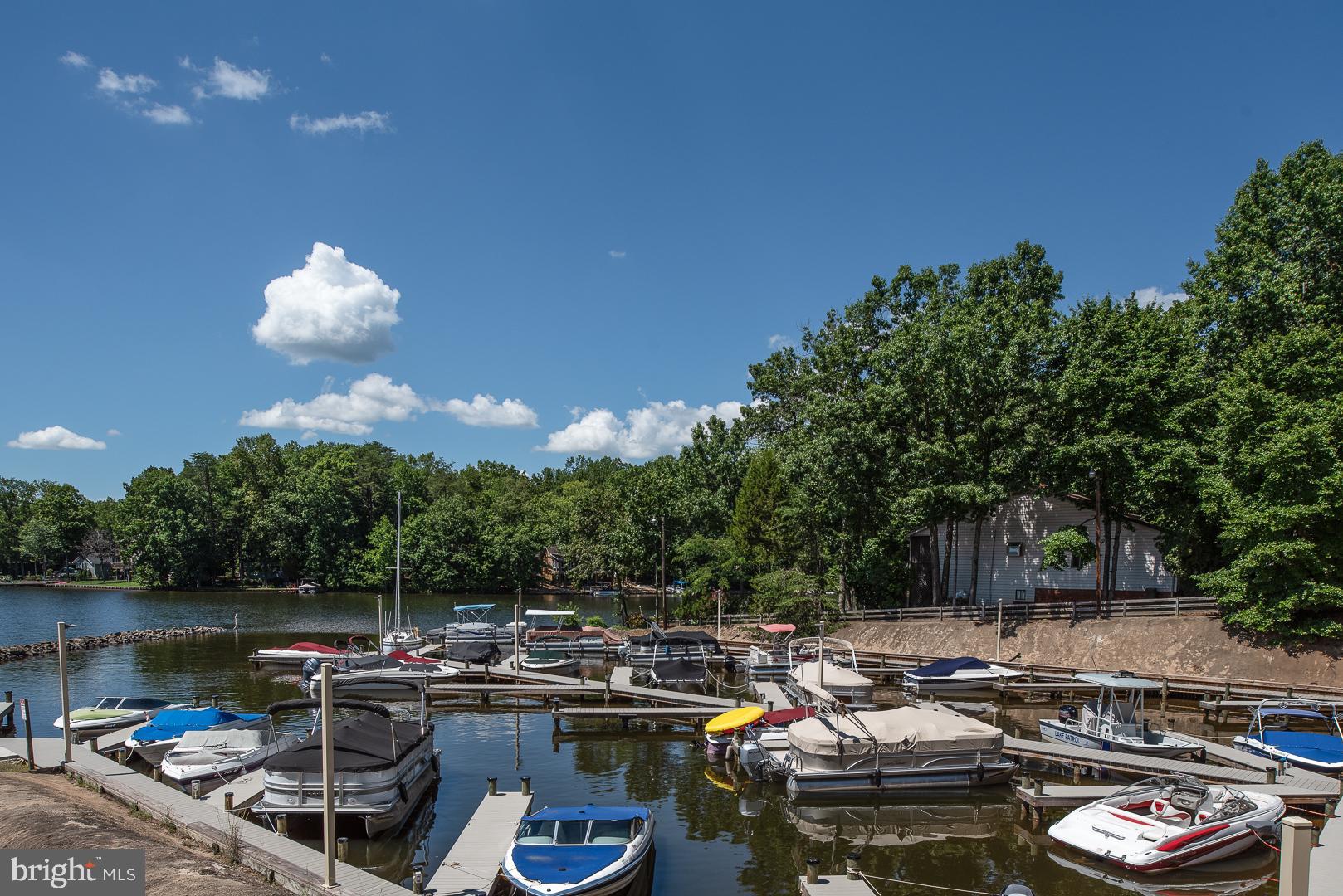 102 Monroe Street Locust Grove, VA 22508 - Photo 40 of 47 Marina