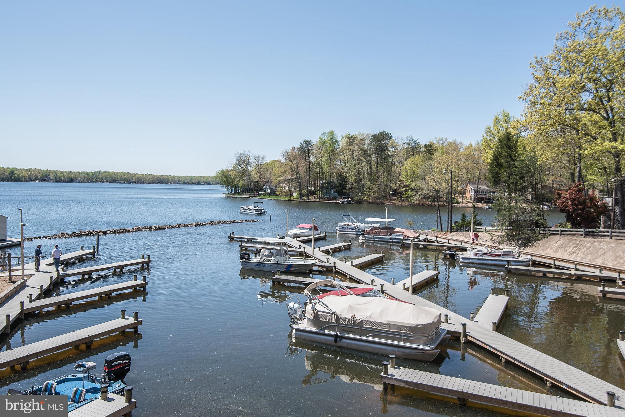 102 Monroe Street Locust Grove, VA 22508 - Photo 41 of 47 Lake at your fingertips!