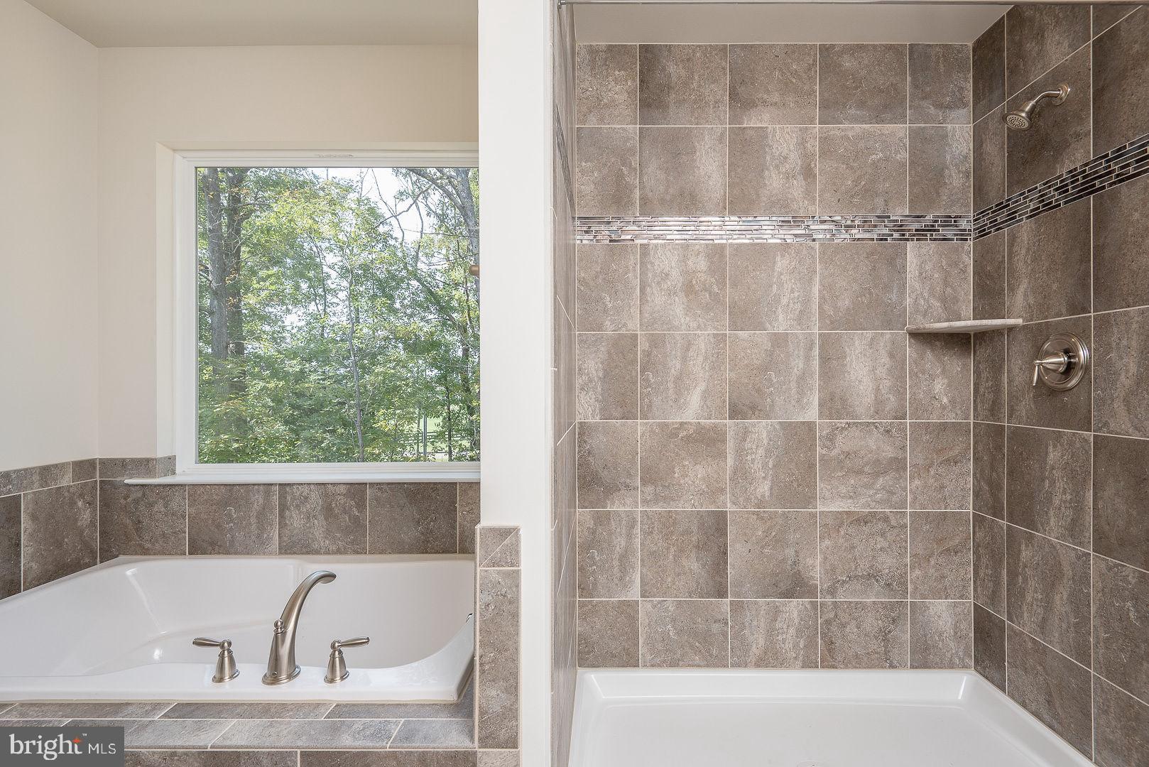 102 Monroe Street Locust Grove, VA 22508 - Photo 7 of 47 Master Suite - Spa bath to Impress!