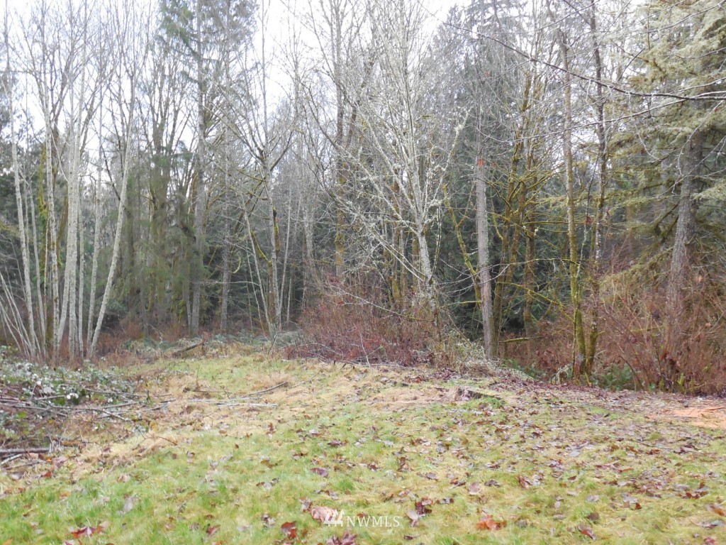 5414 Bulman Road Southeast Port Orchard, WA 98366 - Photo 21 of 24 Gallery Image 21