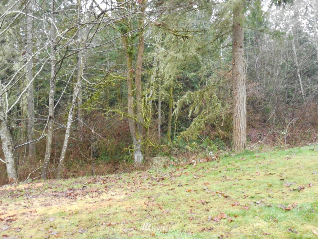 5414 Bulman Road Southeast Port Orchard, WA 98366 - Photo 22 of 24 Gallery Image 22