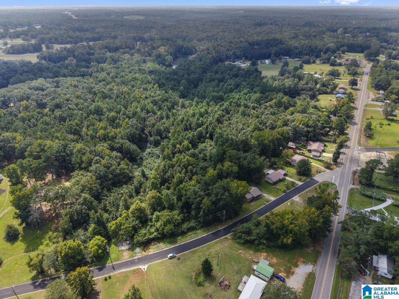 0 Sycamore Street, Unit 1 Jemison, AL 35085 - Photo 18 of 25