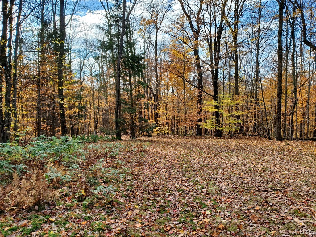 0 Johnson Road De Ruyter, NY 13052 - Photo 6 of 18 Gallery Image 6