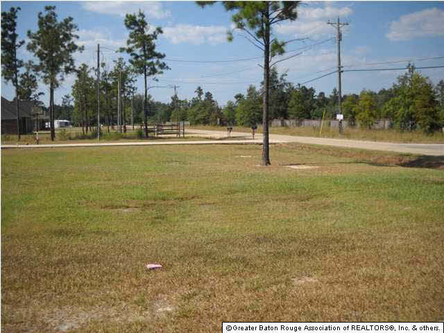 31533 Pea Ridge Road Albany, LA 70711 - Photo 20 of 20