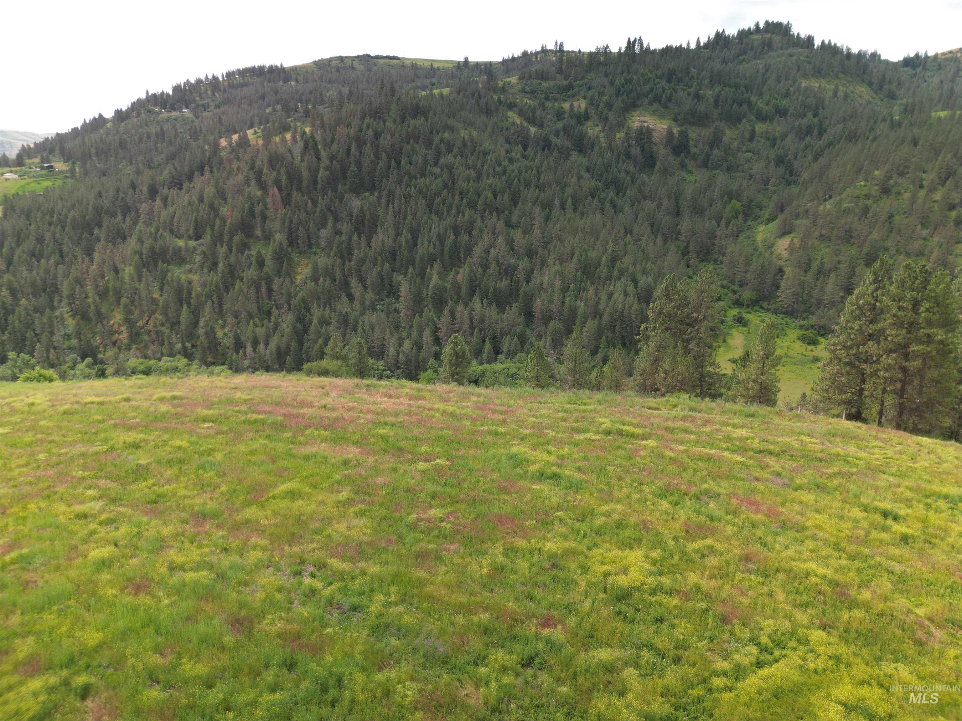 0 American Ridge Road Kendrick, ID 83537 - Photo 17 of 21