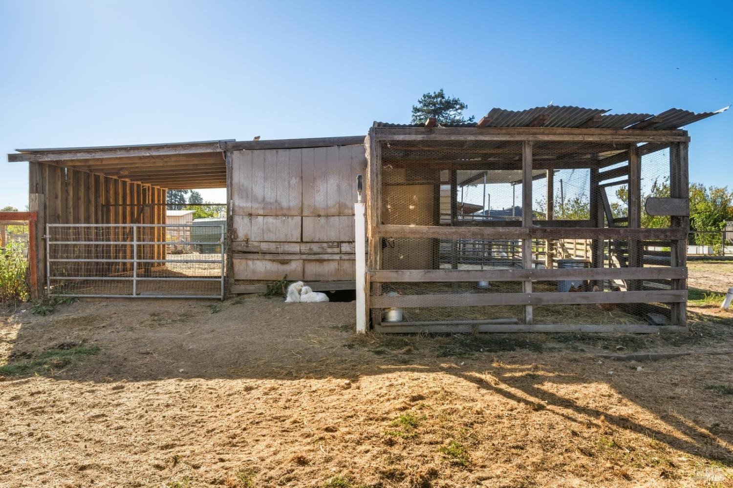 5111 Todd Road Sebastopol, CA 95472 - Photo 21 of 63 Shelter for your livestock