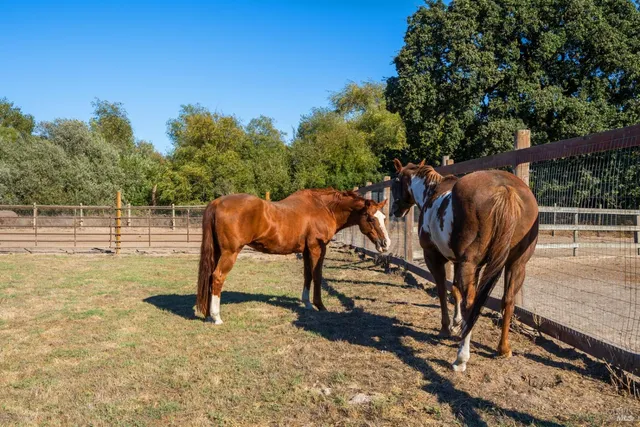 $1,200,000 | 5111 Todd Road, Sebastopol, CA 95472