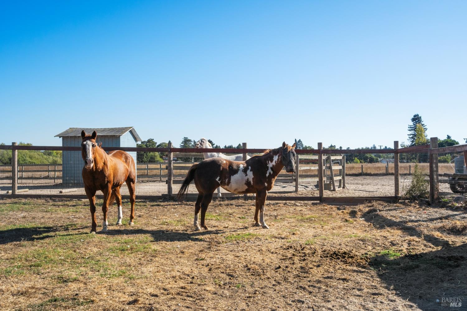 5111 Todd Road Sebastopol, CA 95472 - Photo 26 of 63