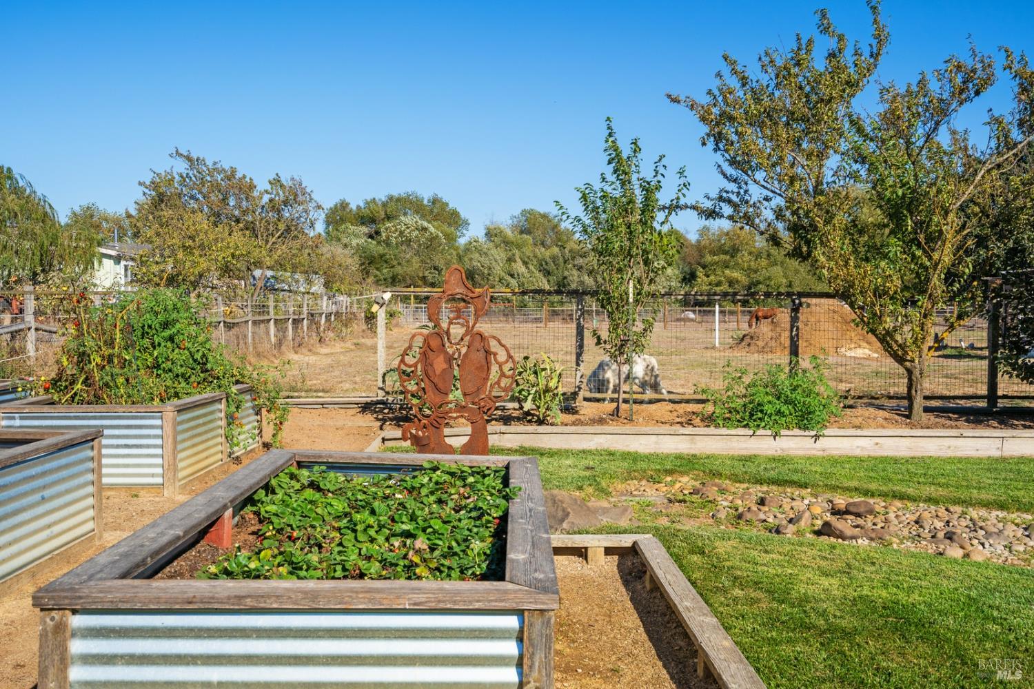 5111 Todd Road Sebastopol, CA 95472 - Photo 60 of 63