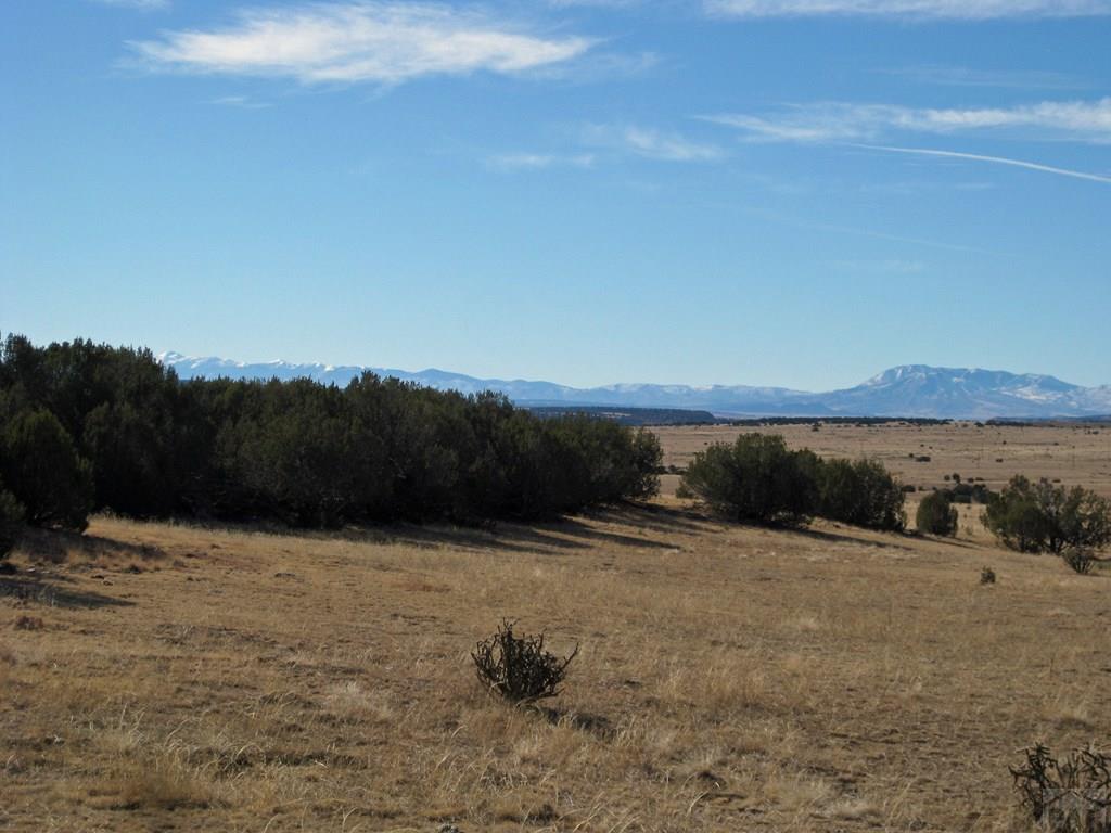 Lot 100 Narrow Gauge Way Rye, CO 81069 - Photo 39 of 42 Gallery Image 39