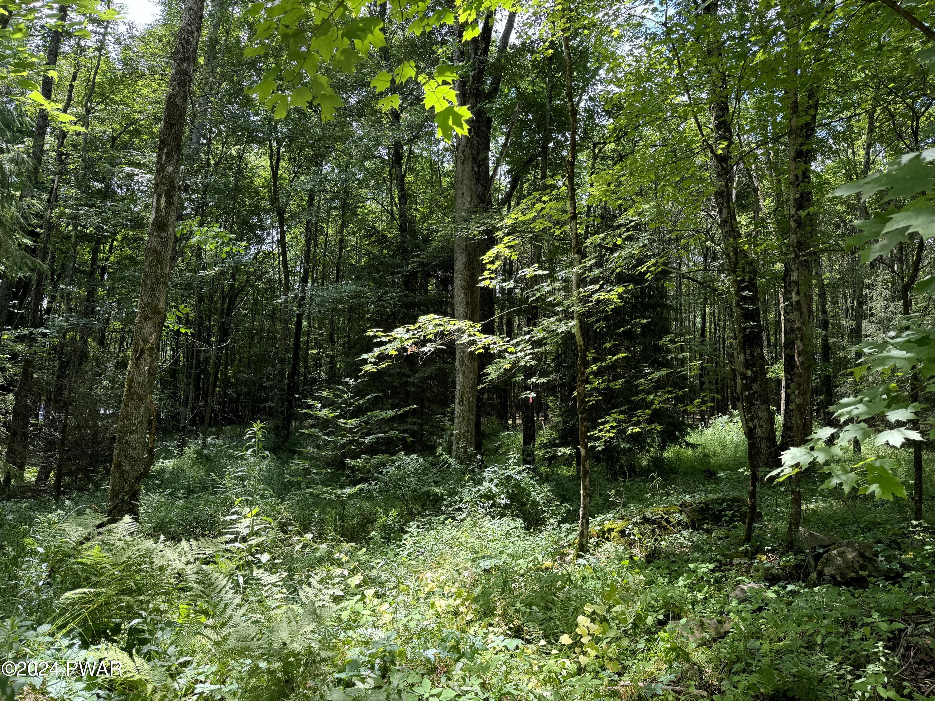Upper Woods Road Pleasant Mount, PA 18453 - Photo 6 of 10
