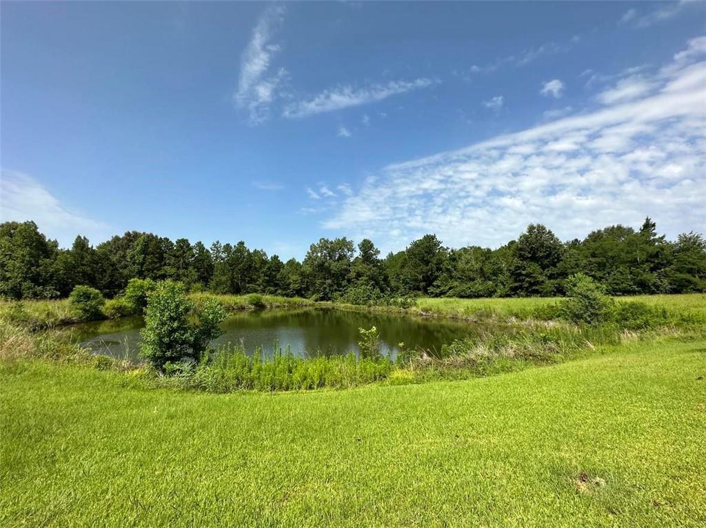 784 Shady Grove Road Natchitoches, LA 71457 - Photo 21 of 30