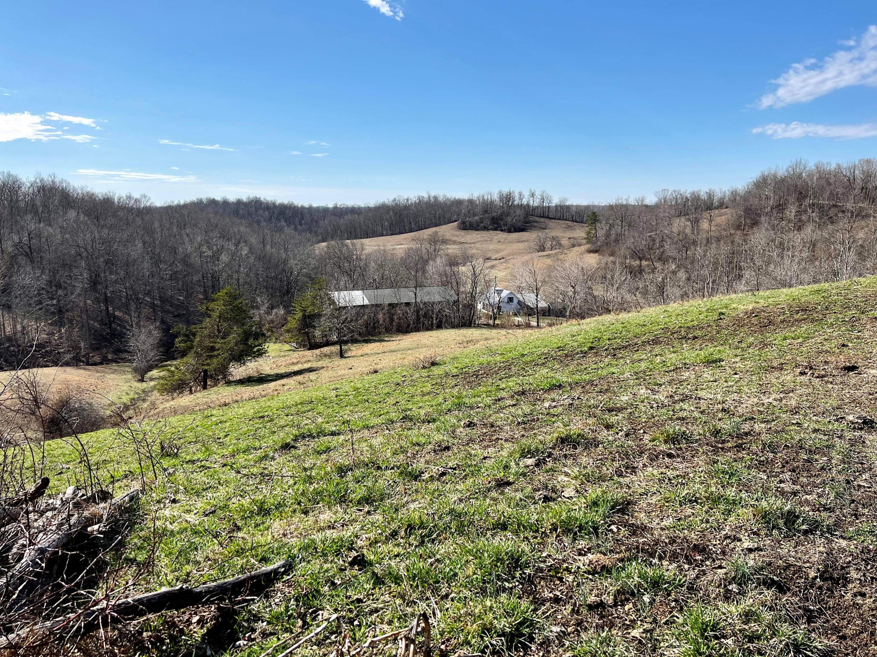 812 Stringtown Road Sandy Hook, KY 41171 - Photo 81 of 154 IMG_6153
