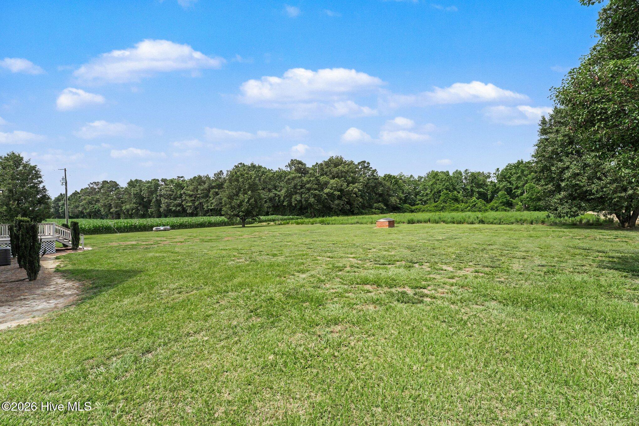 965 Mt Moriah Church Road Clinton, NC 28328 - Photo 7 of 14