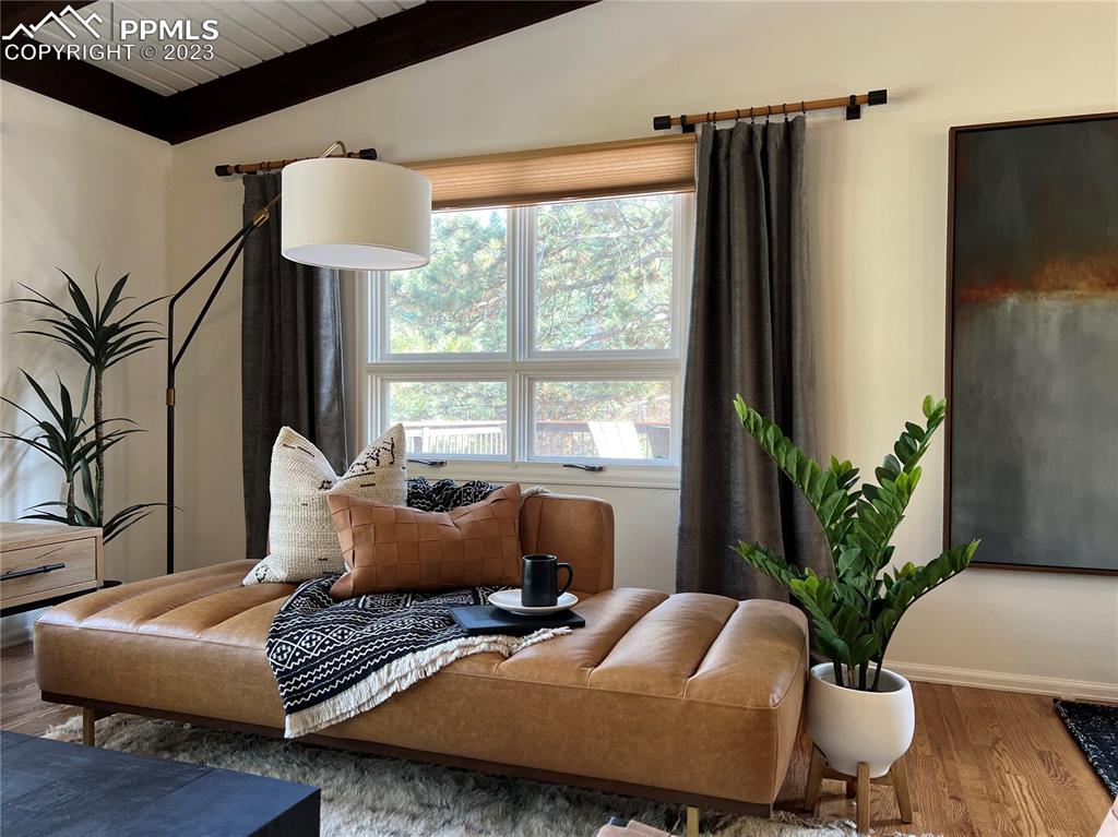 9660 Mohawk Trail Cascade, CO 80809 - Photo 21 of 43 a living room with furniture and a potted plant
