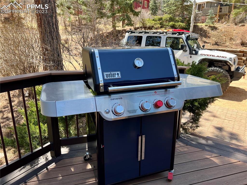 9660 Mohawk Trail Cascade, CO 80809 - Photo 37 of 43