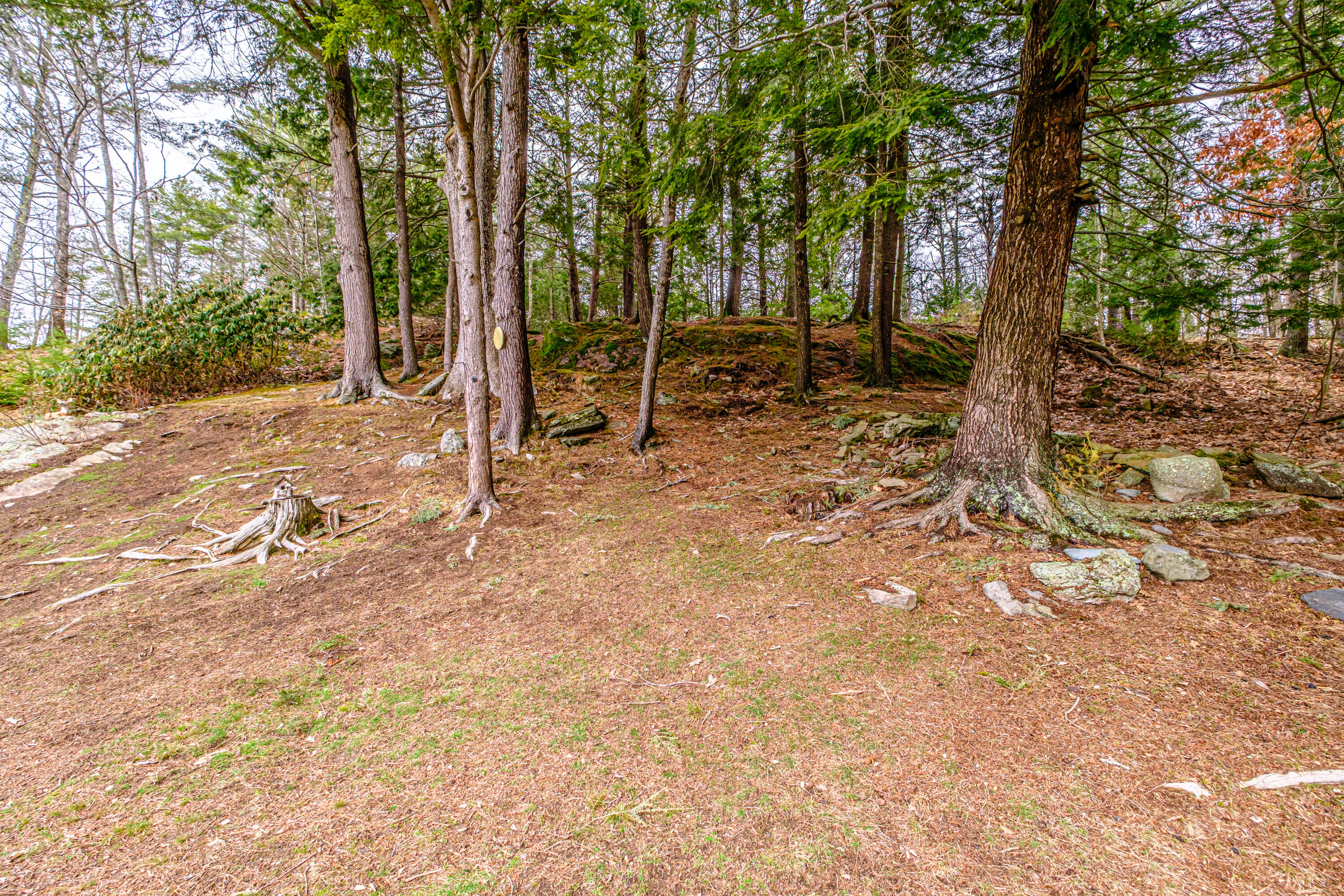 277 Old Brunswick Road Bath, ME 04530 - Photo 41 of 51 20260413gp-60063