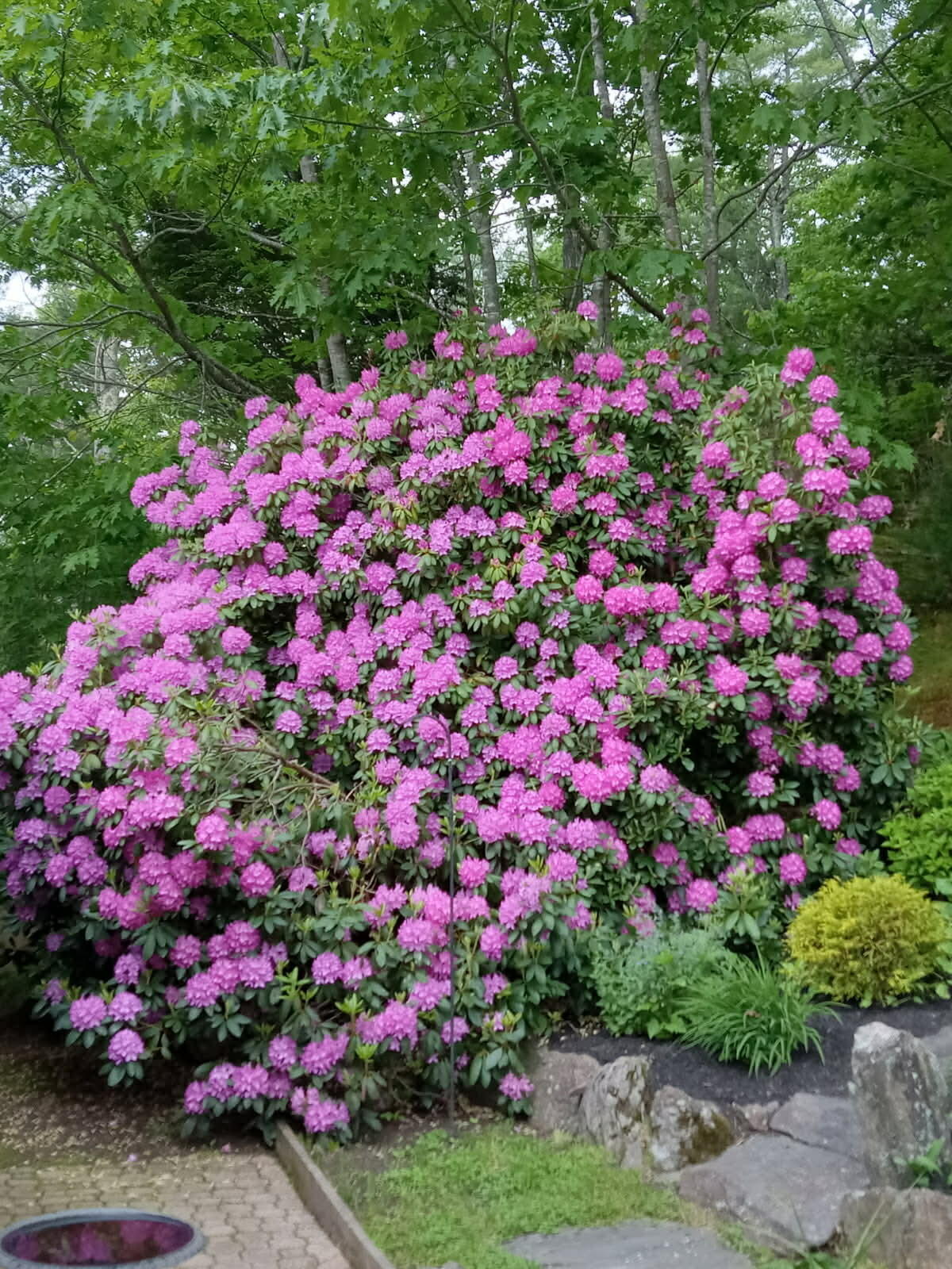 277 Old Brunswick Road Bath, ME 04530 - Photo 48 of 51 aaaaaa