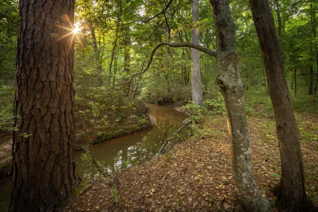 a view of swimming pool with an outdoor space