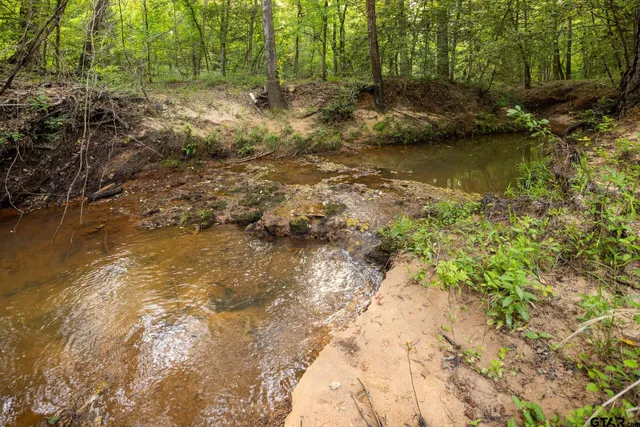 a view of lake with green space
