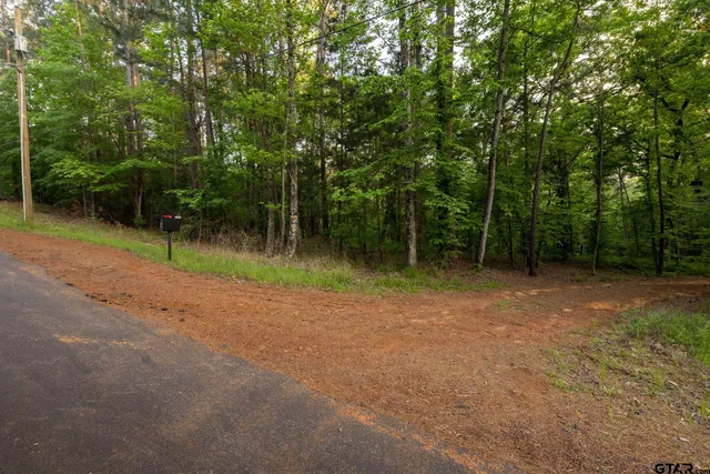 $240,000 | 14221 Pine Overlook Drive, Flint, TX 75762