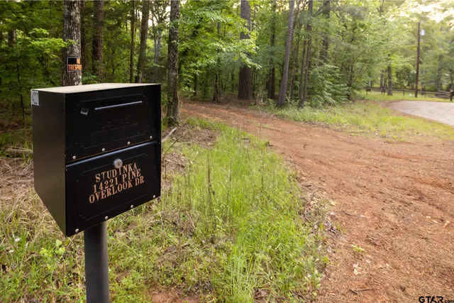 a view of outdoor space with lots of trees