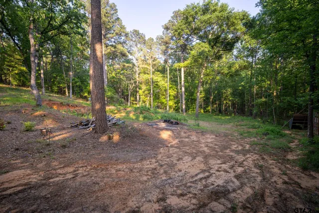 a view of backyard with green space