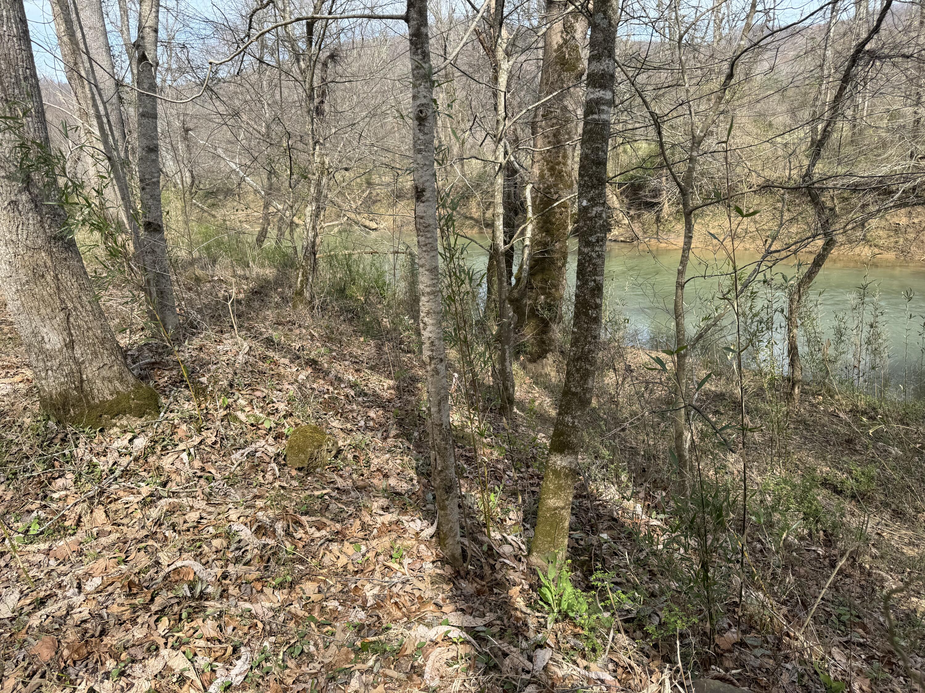 9999 Ryans Creek Road Strunk, KY 42649 - Photo 18 of 22 IMG_4011