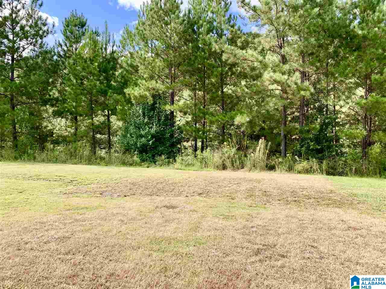 5605 Park Side Road Birmingham, AL 35244 - Photo 28 of 32