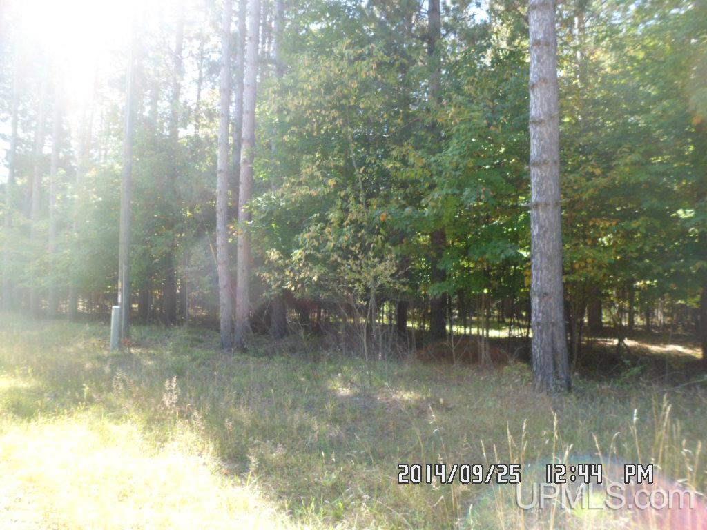 Tbd North Tbd N 75th Road Gladstone, MI 49837 - Photo 7 of 10