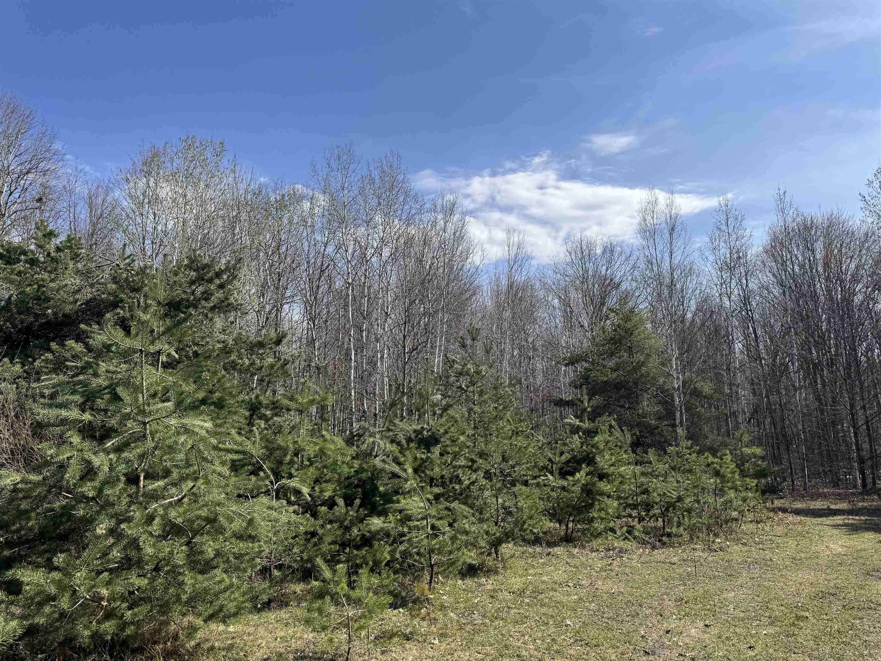 Tbd North Loomis Road Clare, MI 48617 - Photo 1 of 9