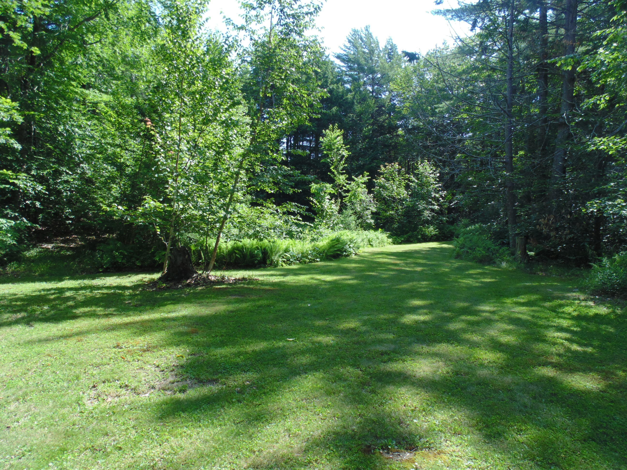 21 Brookview Drive Bucksport, ME 04416 - Photo 42 of 62 DSC07518