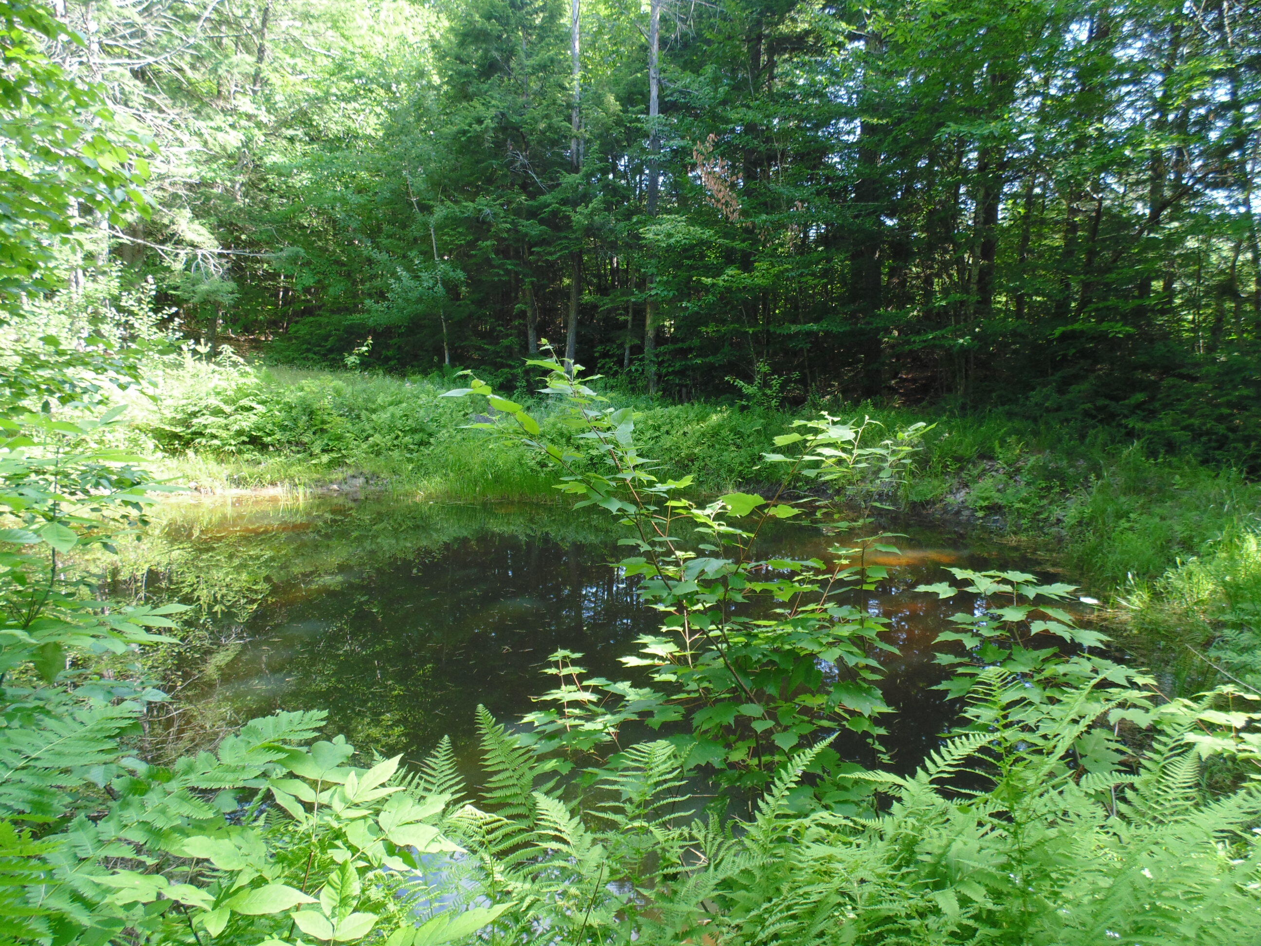 21 Brookview Drive Bucksport, ME 04416 - Photo 43 of 62 DSC07520