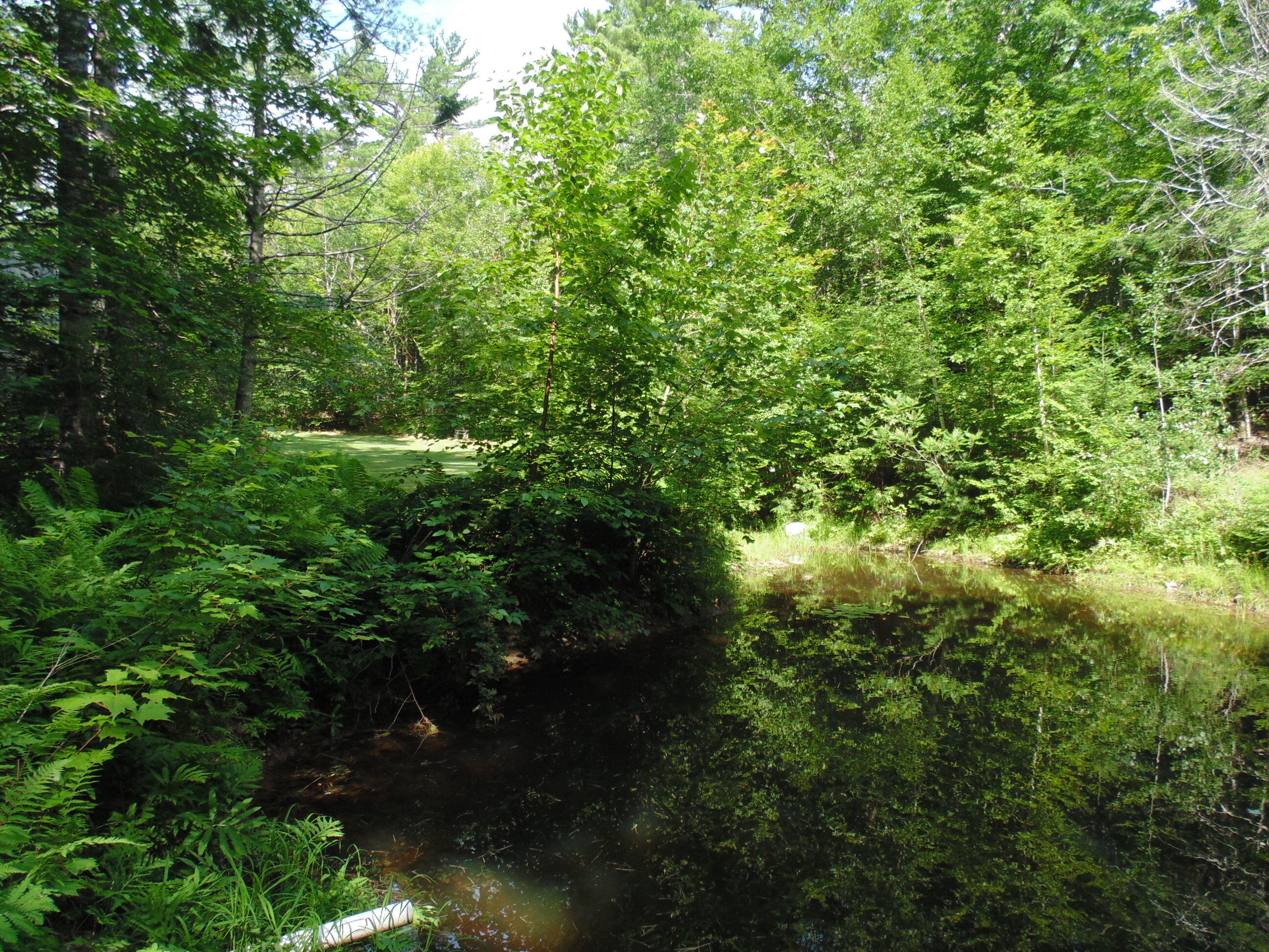 21 Brookview Drive Bucksport, ME 04416 - Photo 45 of 62 DSC07522