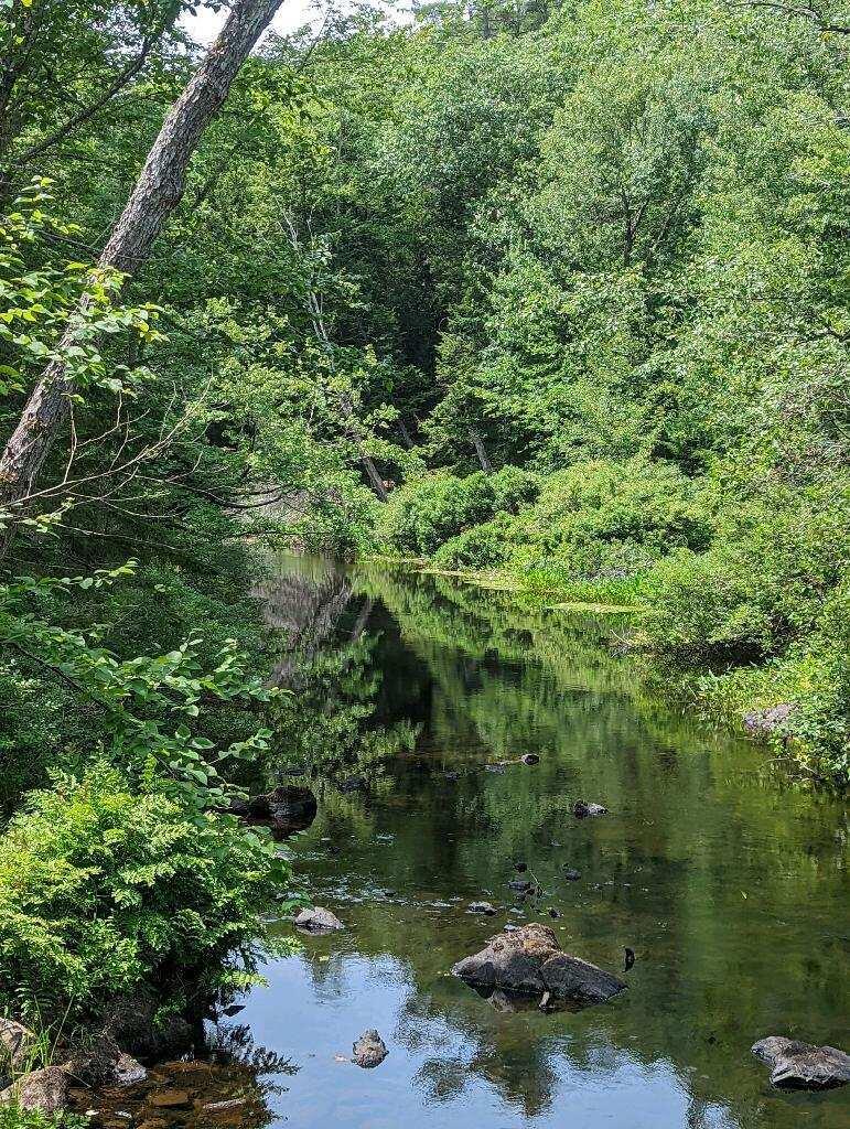 21 Brookview Drive Bucksport, ME 04416 - Photo 46 of 62 123951