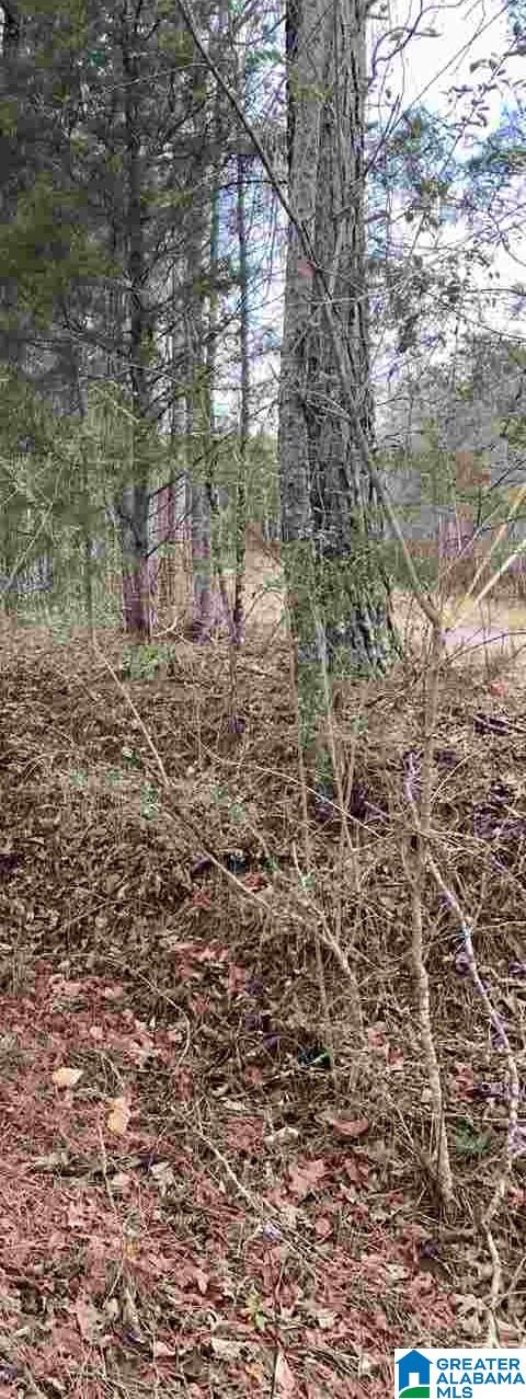 0 John Owens Road, Unit 2 12 Trussville, AL 35173 - Photo 2 of 5