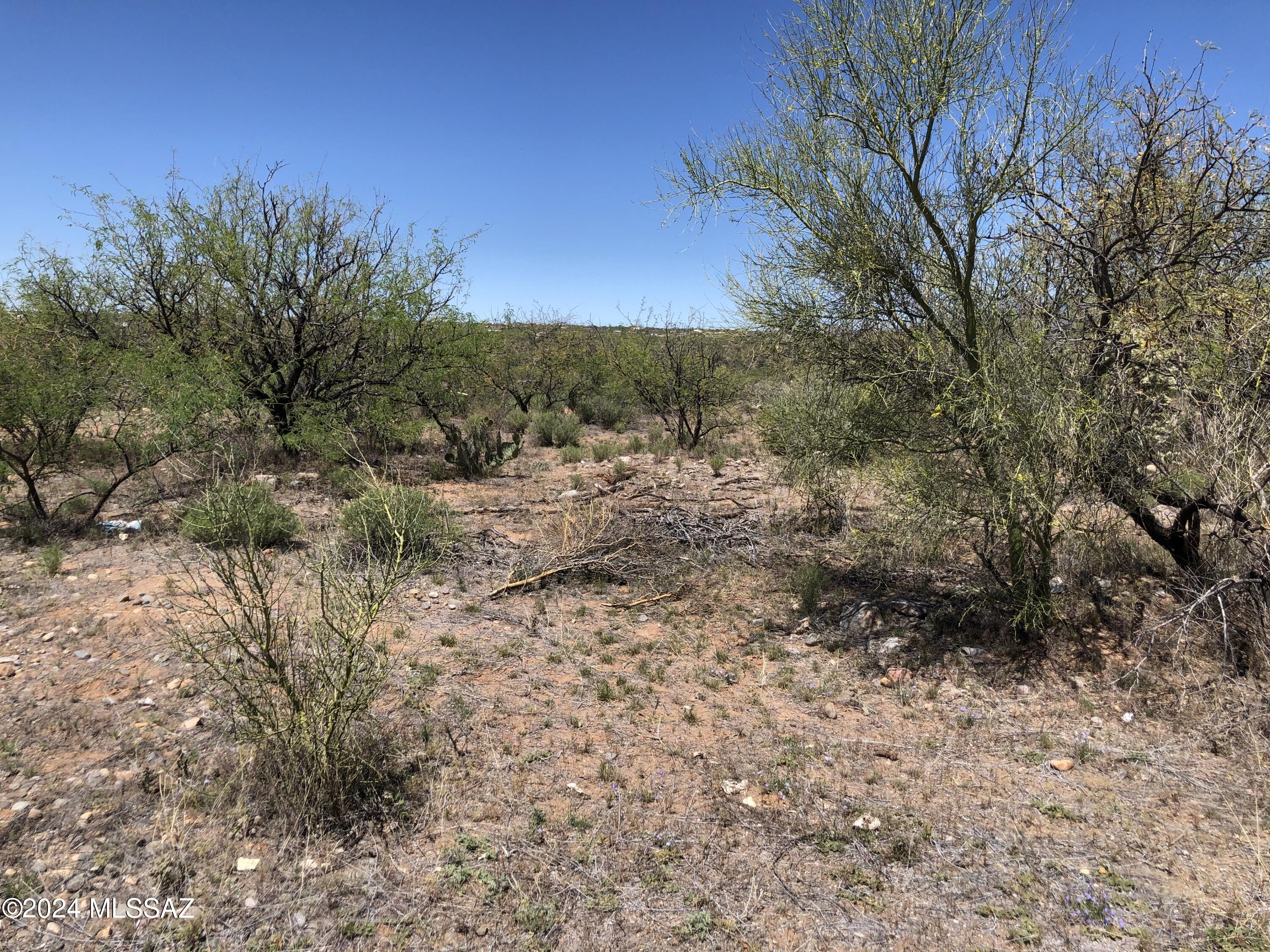 1705 Milo COrte, Unit 95 Rio Rico, AZ 85648 - Photo 2 of 3