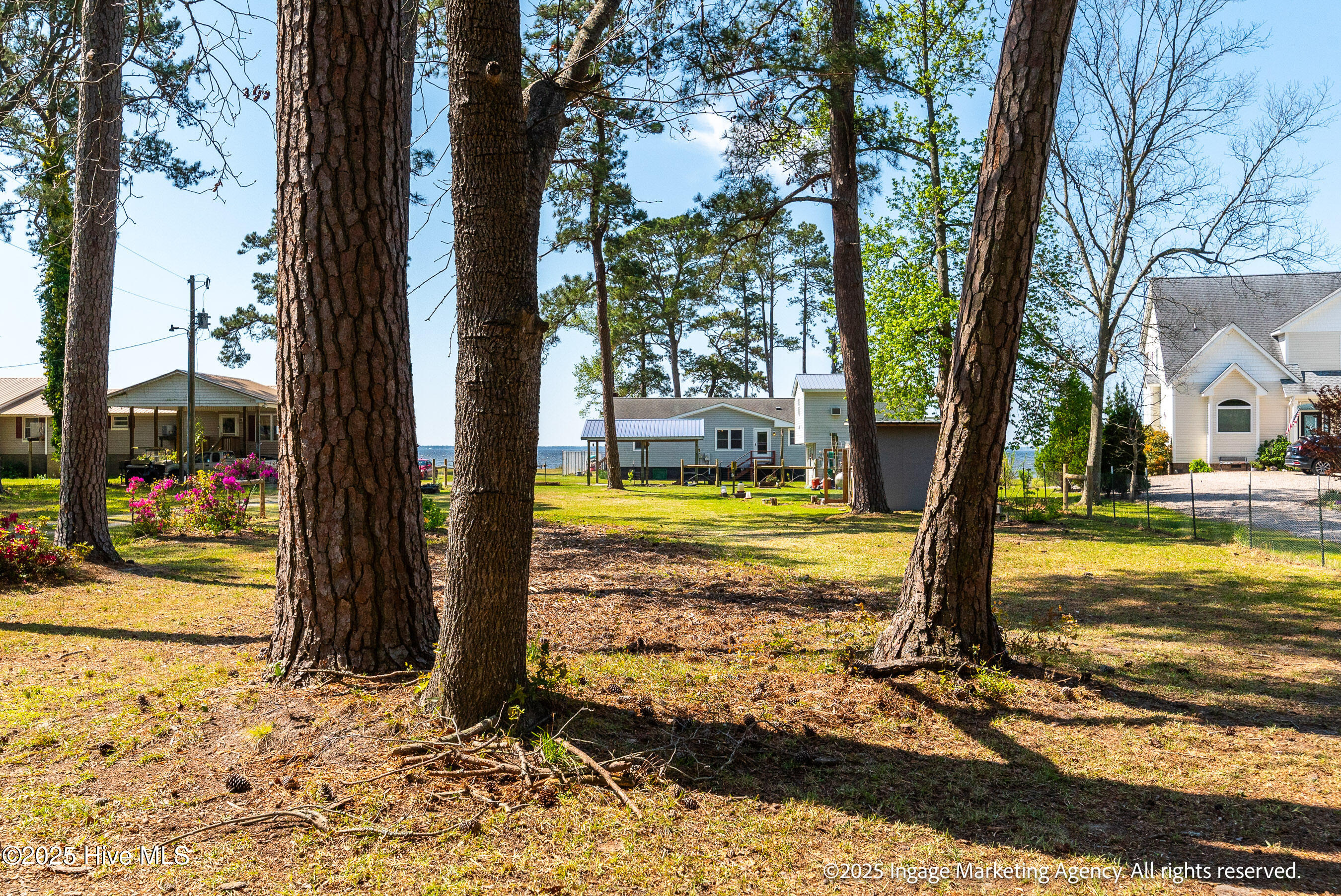 283 Chambers Point Road Belhaven, NC 27810 - Photo 18 of 66 014-20250414 MLS M_Heinz 283 Chambers Po