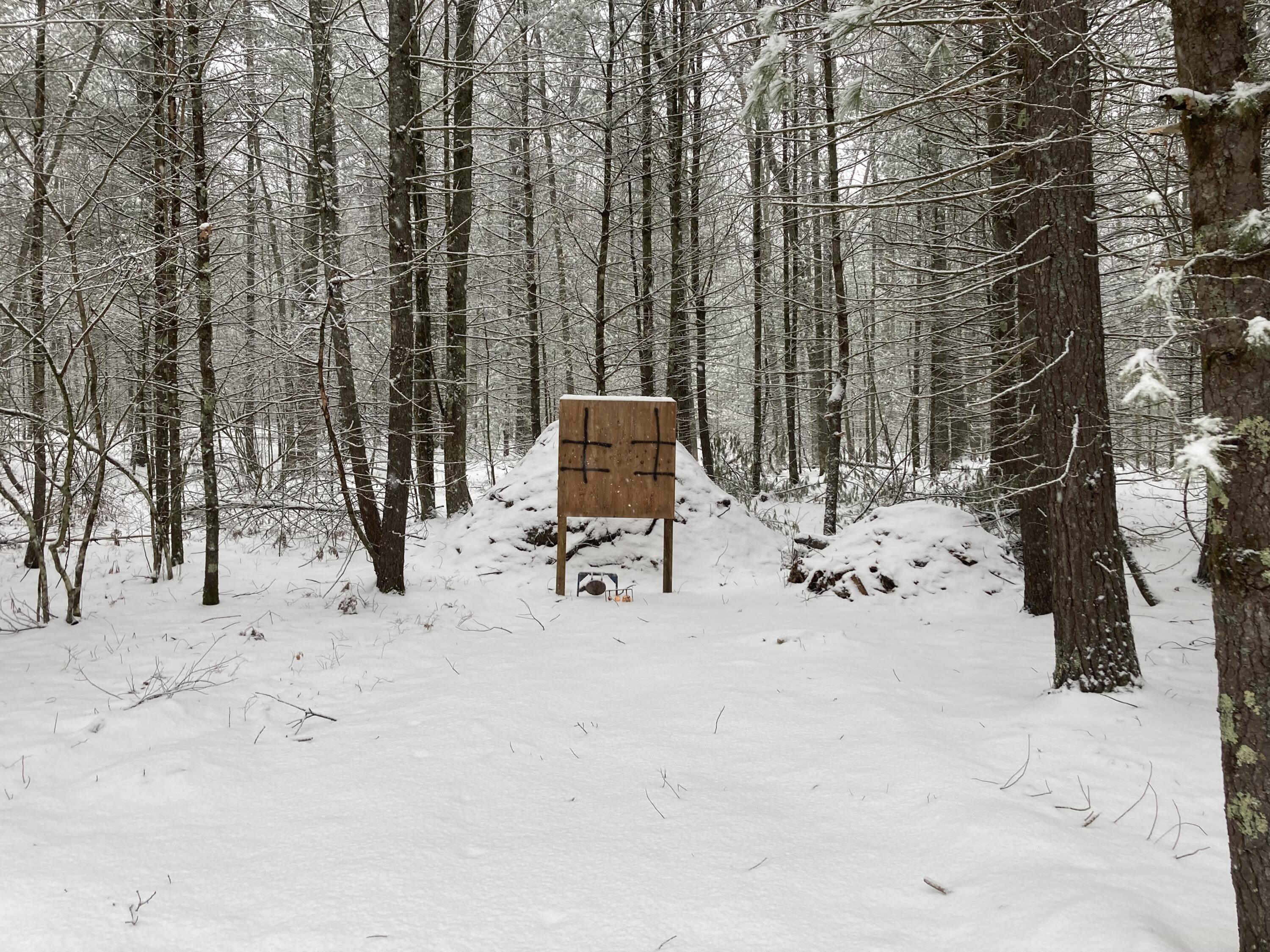 8891 North James Road Irons, MI 49644 - Photo 21 of 37 IMG_4718
