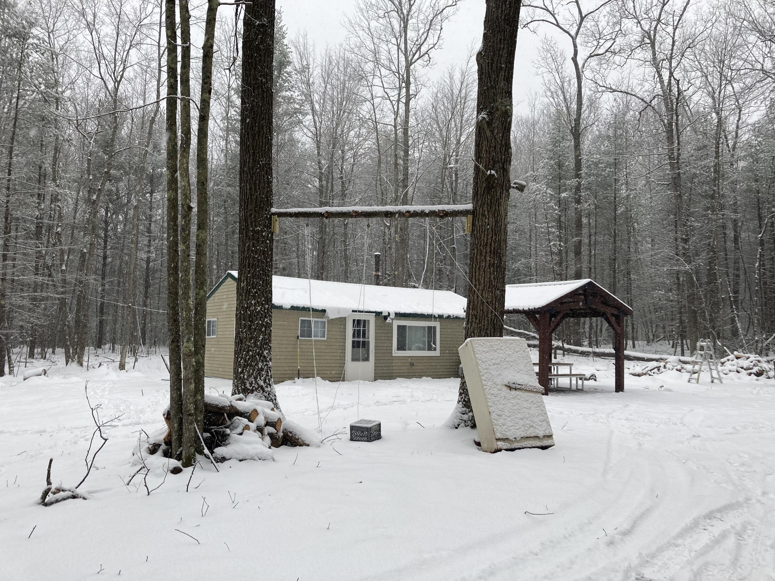 8891 North James Road Irons, MI 49644 - Photo 31 of 37 IMG_4709