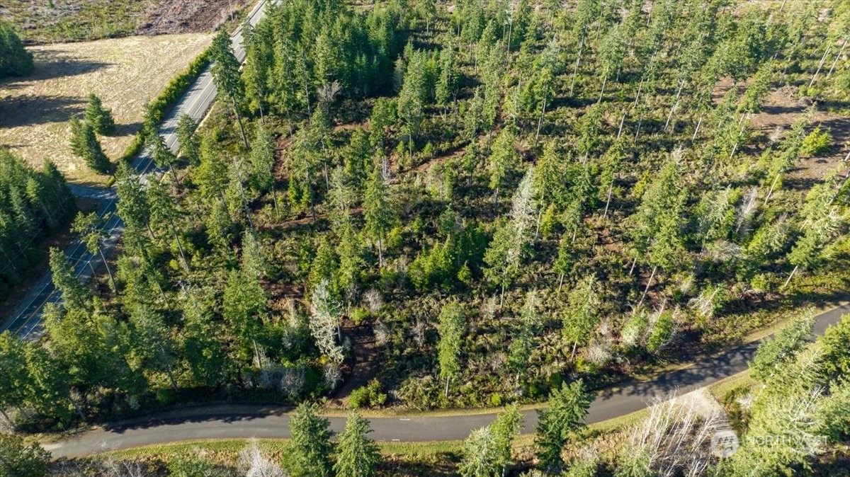 2 Northeast Ridgetop Court Belfair, WA 98528 - Photo 16 of 19 Gallery Image 16